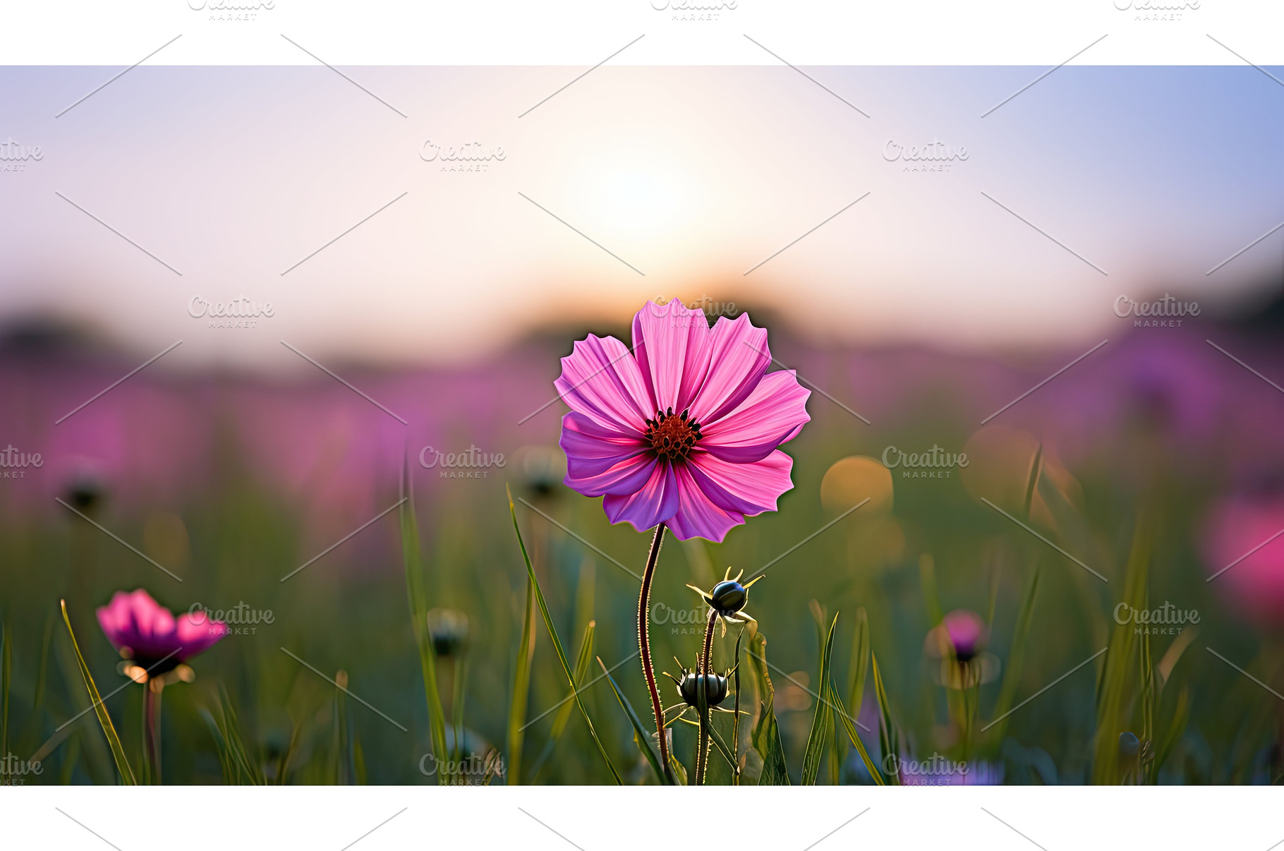 green purple pink flower ai, a Nature Photo by pikepicture