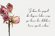 Brinley - Modern Handwritten Font, a Script Font by Flawless And Co (Thumbnail 6 of 10)