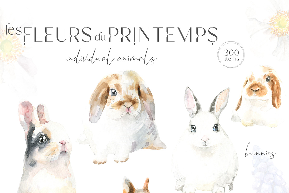 Spring Flora Farm Animals Watercolor, an Animal Illustration by Catherine Wheel (Photo 22 of 22)