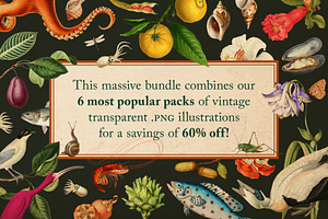 BUNDLE: 375 Vintage Clipart 6-in-1