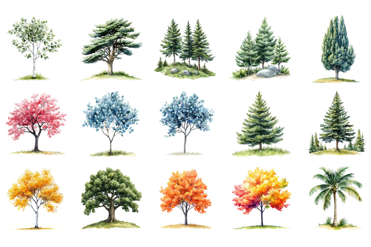 Watercolor Forest Trees Clipart, an Illustration by Designking (Photo 2 of 5)