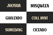 Quickcase, a Sans Serif Font by Dumadistyle (Thumbnail 4 of 8)