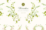 Watercolor wildflower, dried botany, a Decorative Illustration by MariGraphic boutique (Thumbnail 5 of 12)