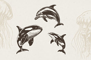 340 Sea Creatures illustrations, an Animal Illustration by Nocturnal Wolf (Thumbnail 4 of 15)