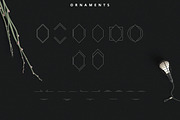 9in1 Ultimate Creation Kit | $29, a Branding & Logo Template by VP Fonts (Thumbnail 82 of 84)