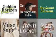 Editorial Revival Serif (70 fonts), a Serif Font by MaxArt Foundry (Thumbnail 21 of 30)