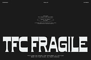 TFC Fragile Font, a Sans Serif Font by Type Flock (Thumbnail 1 of 17)