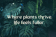 Rorenza, a Sans Serif Font by Dikas Studio (Thumbnail 9 of 10)