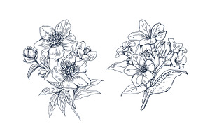 Vintage Hand Drawn Flowers Set