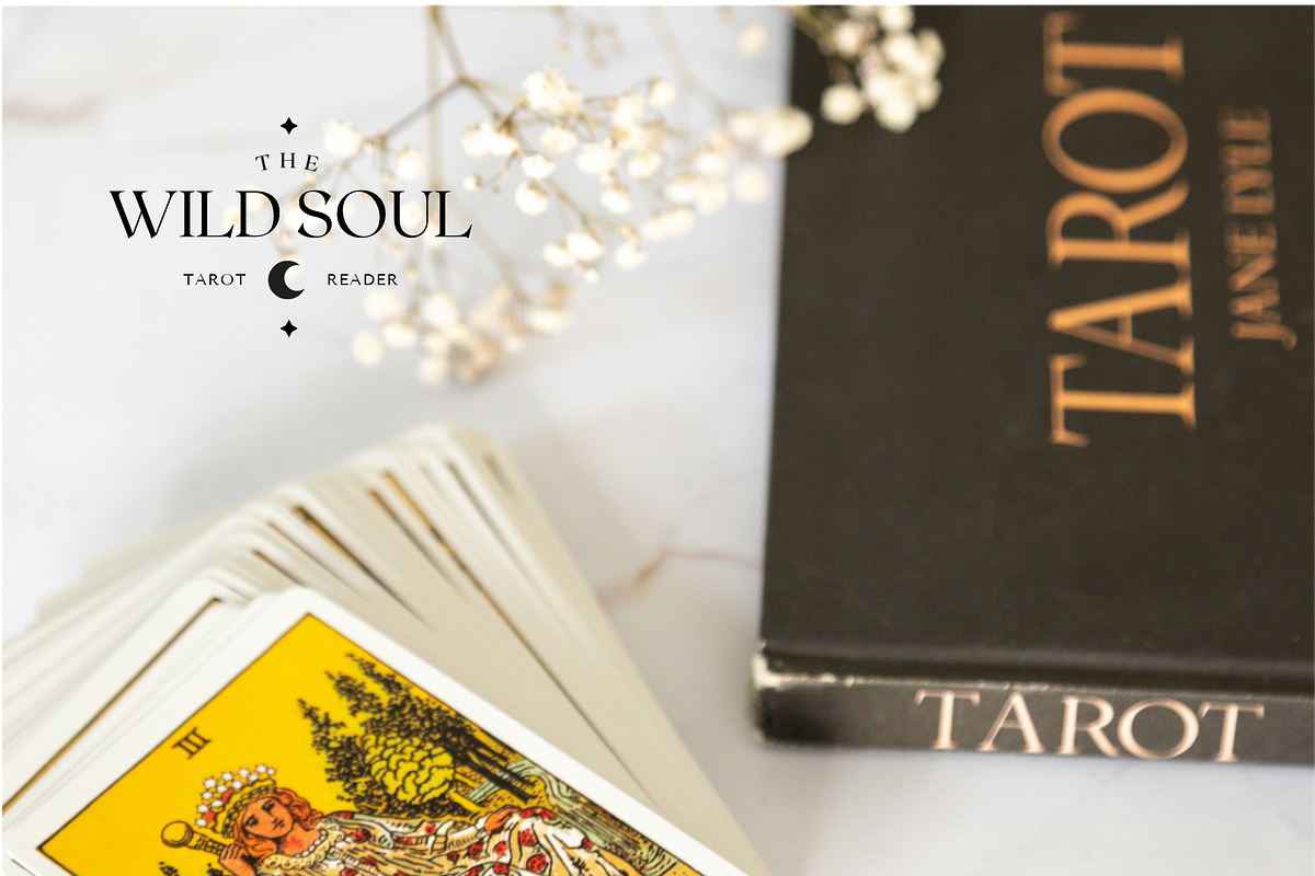 Wild Soul Modern Canva Logo Bundle, a Branding & Logo Template by Forth and Wild (Photo 9 of 9)