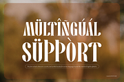 Pany Anemov | Modern Display Serif, a Font by Denustudios (Thumbnail 15 of 15)
