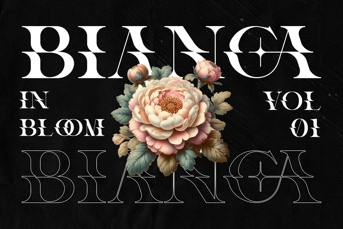 Mica Display Font, a Serif Font by Eotype Studio (Photo 2 of 11)