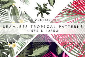 Tropical Patterns & Set VECTOR