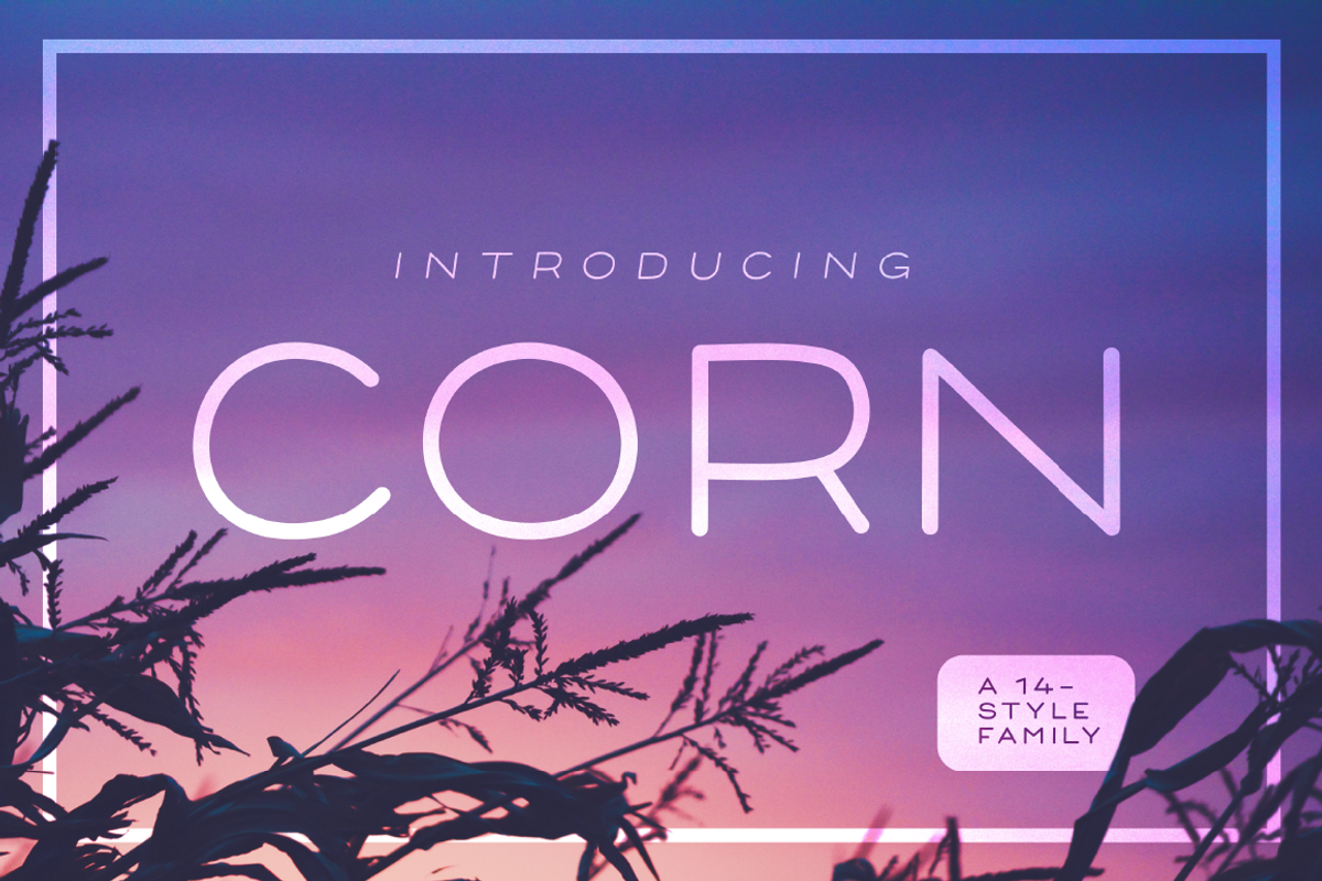 Corn - A 14 Style Family