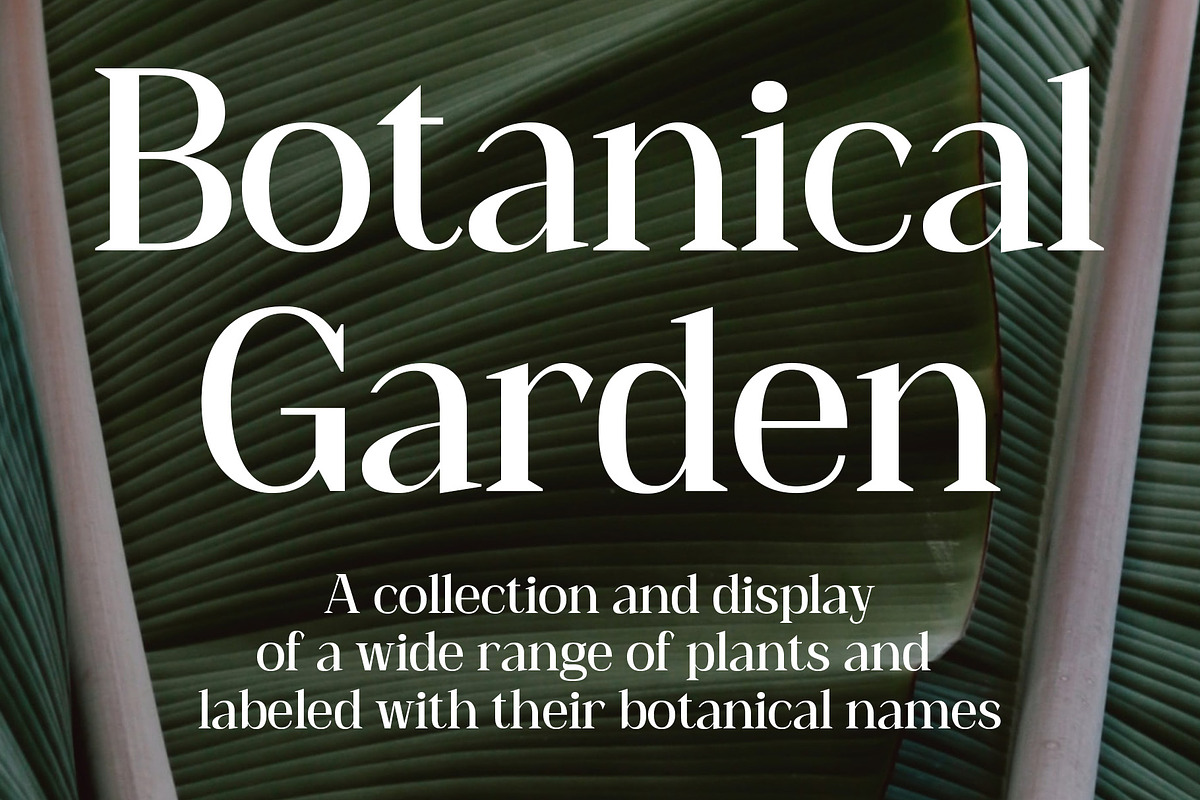 Heidan – Wedge Serif Font, a Serif Font by Craft Supply Co. (Photo 2 of 8)