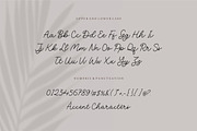 Volatile - Monoline Script Font, a Script Font by Letterative Studio (Thumbnail 6 of 7)