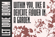 Lucky Charm Modern Ligature Sans, a Sans Serif Font by Perfectype (Thumbnail 2 of 8)