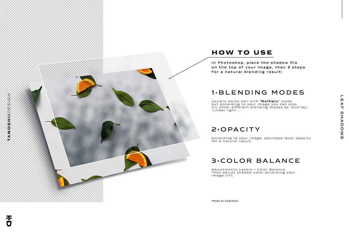 Leaf Shadows, a Templates & Theme by TANOSHII DESIGN (Photo 10 of 10)