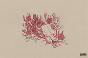 Red Line Art Bull Skull Entwined, an Object Graphic by SharpMarketplace (Thumbnail 1 of 4)