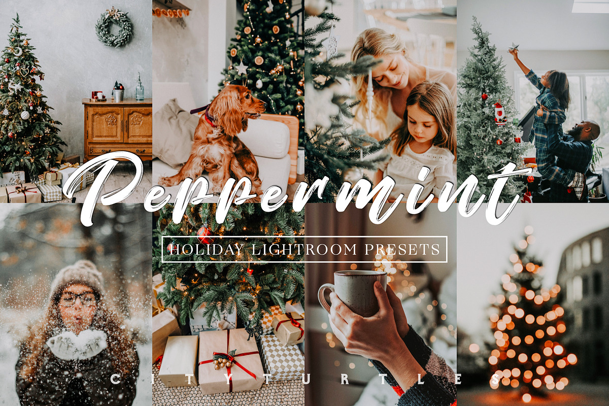 Moody Holiday PEPPERMINT LR Presets, an Action Add-On by CityTurtles (Photo 1 of 7)