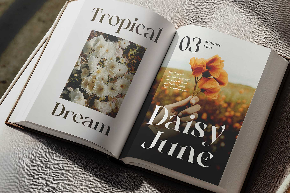 Mongela - Elegant Serif, a Serif Font by Novitype (Photo 8 of 14)