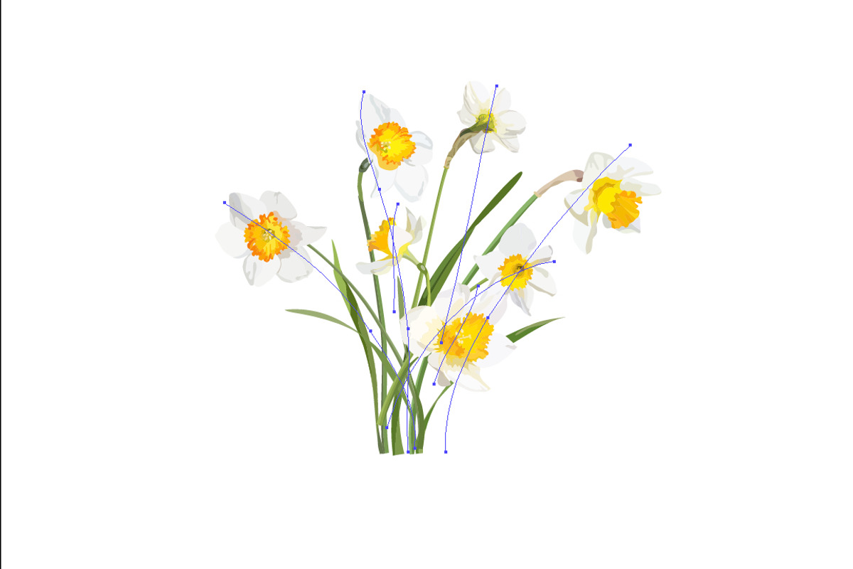 Vector object brushes. Daffodils preview 3