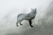 Wild Animals of North America, an Icon by Calvin Weibel (Thumbnail 6 of 6)