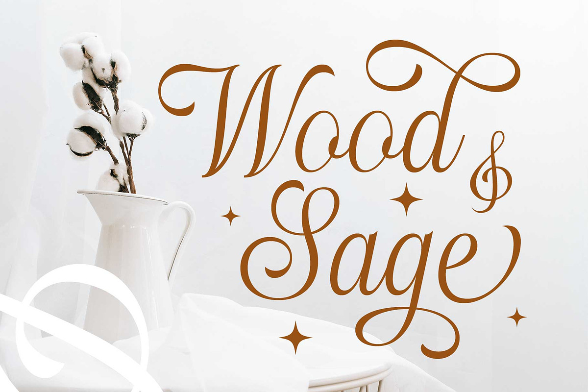 Haydenta - Calligraphic Script, a Script Font by Novitype (Photo 4 of 12)