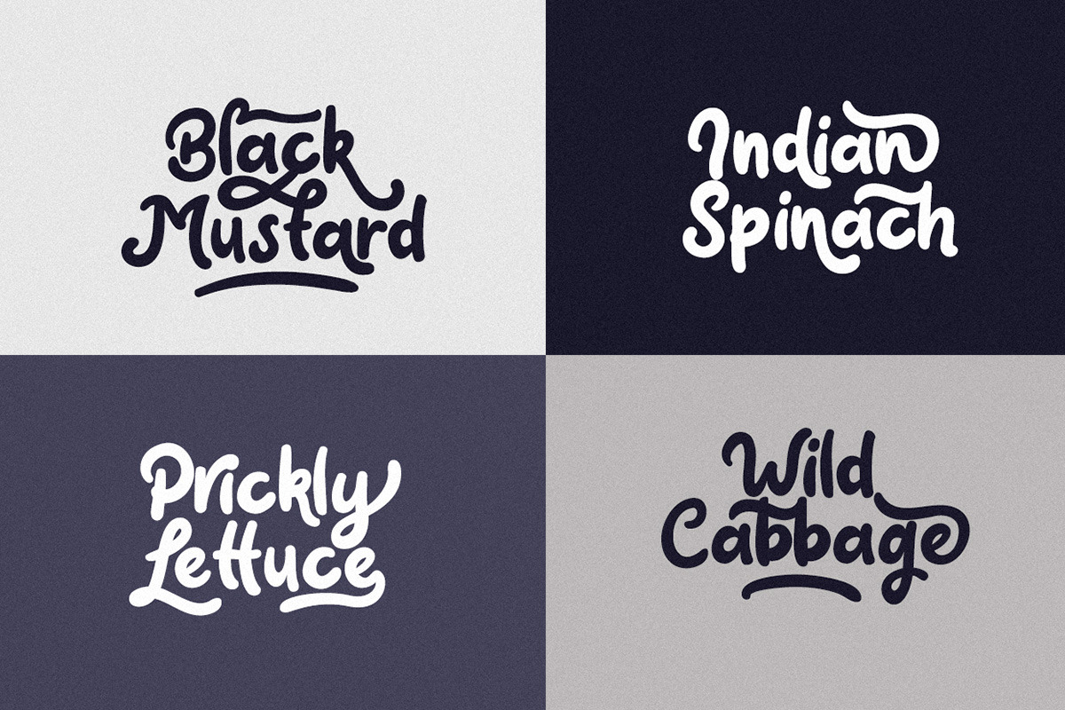 Claytonia Bold Script preview 4