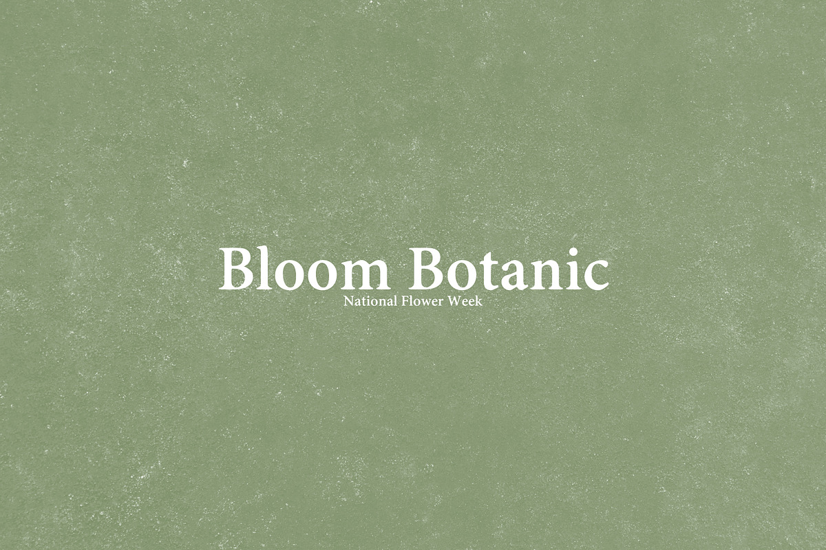 Wilkeson Modern Serif Typeface preview 2