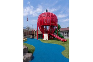 Children playground shaped like an, a Nature Photo by Backyard Stock