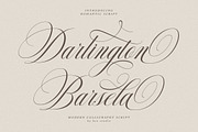 Delighton Script, a Script Font by Has_rizal (Thumbnail 11 of 15)