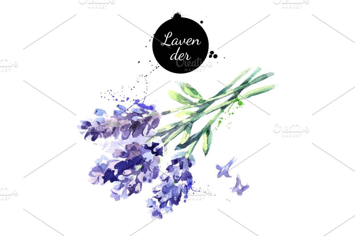 Watercolor Herbs Vector Set, a Food Illustration by Elena Pimonova (Photo 3 of 4)