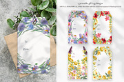 Wildflower Watercolor Collection, a Decorative Illustration by Anna Druzhkova (Thumbnail 11 of 23)