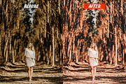 Mobile Lightroom Presets, an Action Add-On by Lavinsky Art Store (Thumbnail 4 of 13)