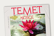 Temet Nosce - Serif font family, a Serif Font by Artistic & Unique (Thumbnail 8 of 15)