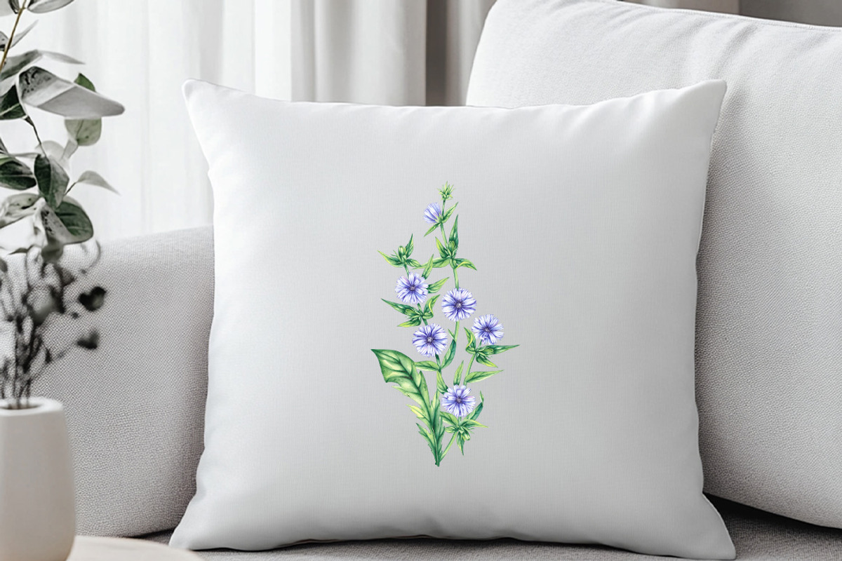 Chicory Plant Watercolor Collection, an Illustration by SashaKondr (Photo 6 of 12)
