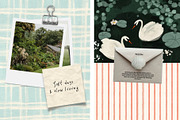 Secret Pond: cottagecore backgrounds, a Background Graphic by PaperJamLab (Thumbnail 8 of 11)