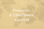 Elderflower - Elegant Typeface, a Serif Font by HipFonts (Thumbnail 7 of 12)
