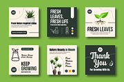 Nature Plant Social Media Post Set, a Print Template by MightyDesign (Thumbnail 1 of 8)