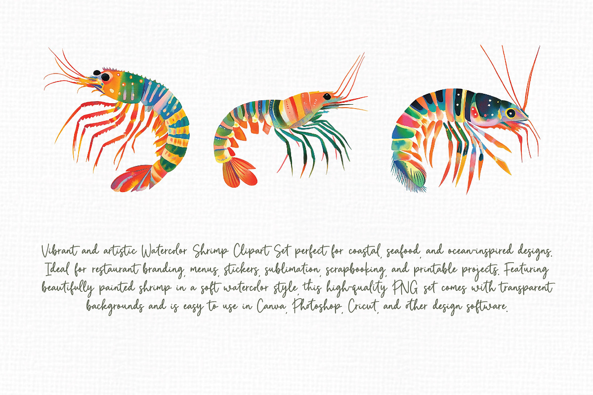 Watercolor Shrimp Clipart Set, an Illustration by Libby Wishes (Photo 6 of 8)