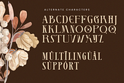 Lamoonze - Serif Display Font, a Serif Font by Randi Irvan | Rvandtype (Thumbnail 14 of 14)