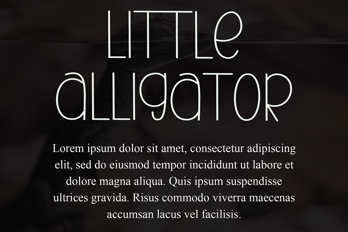 Cute Alligator, a Serif Font by FreshTypeINK (Photo 8 of 8)