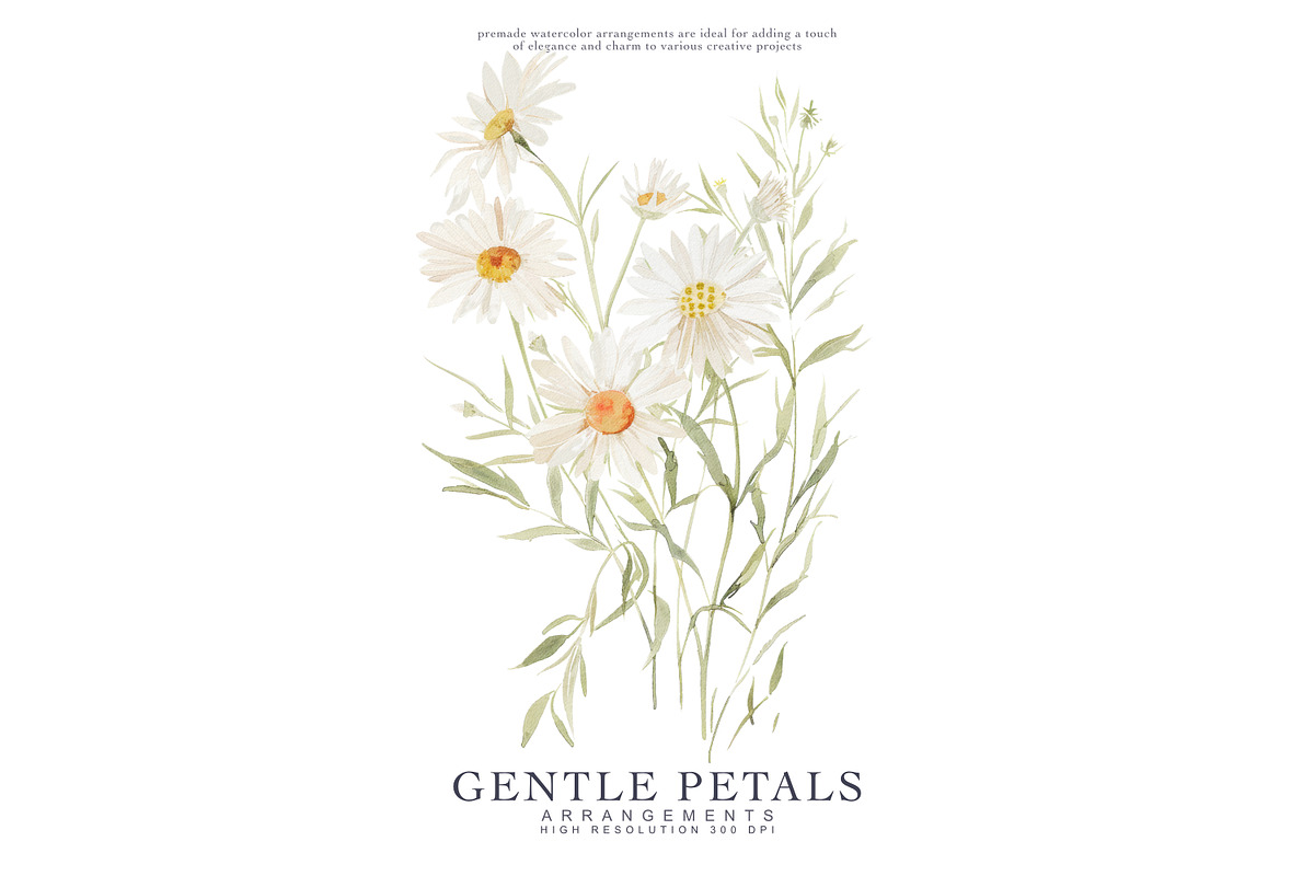 watercolor daisy clipart set, a Decorative Illustration by Patishop Art (Photo 4 of 6)
