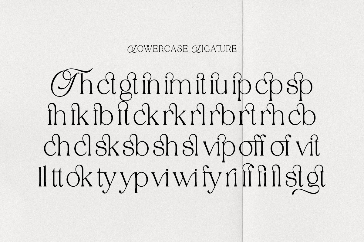 Tenopate, a Serif Font by Pista Mova (Photo 11 of 20)