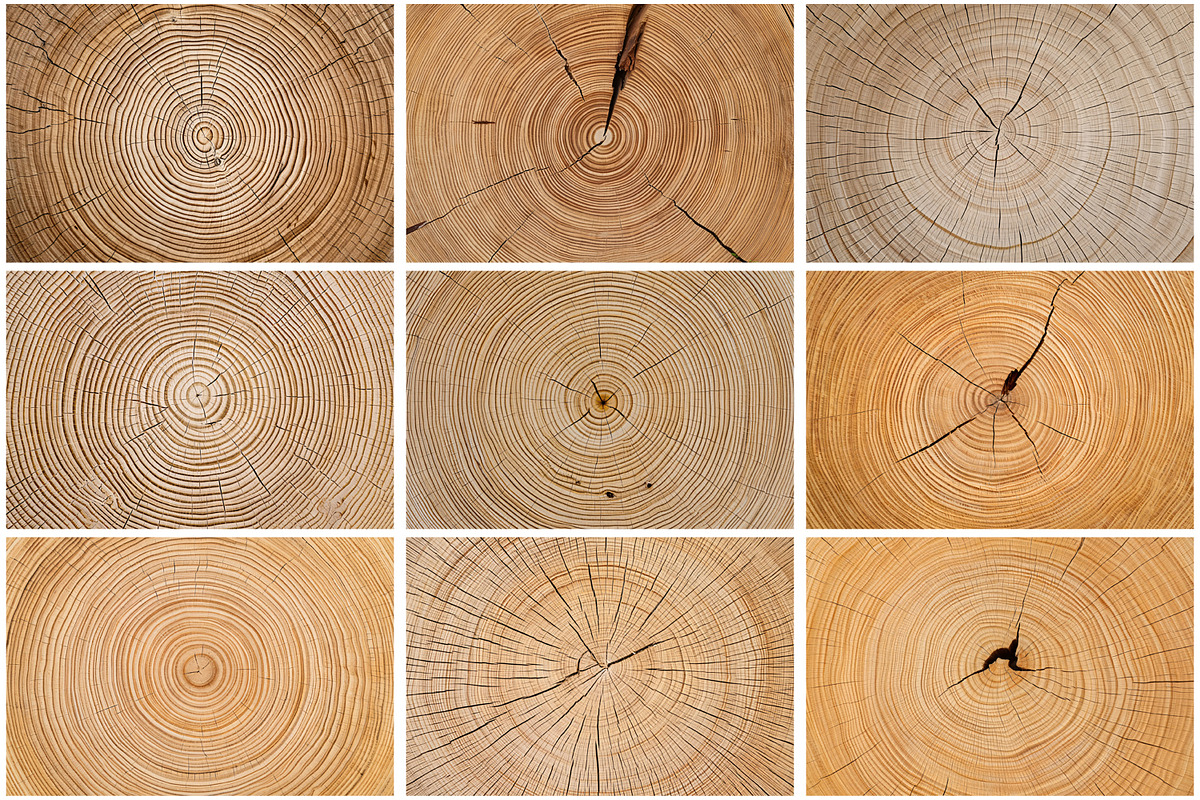 Cut Wood Texture Background, a Texture Graphic by Forhadx5 (Photo 7 of 8)