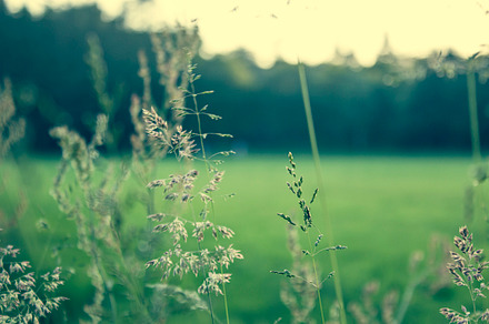 Condensed Window preview 6