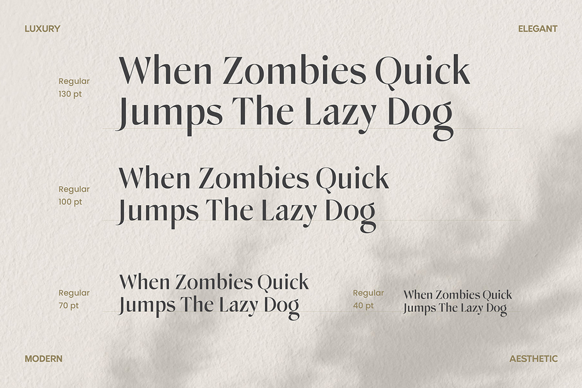Cellina Wildrone Display, a Sans Serif Font by Eltypesstudio (Photo 4 of 13)