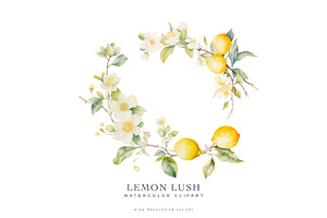 Watercolor Lemon Clipart Collection