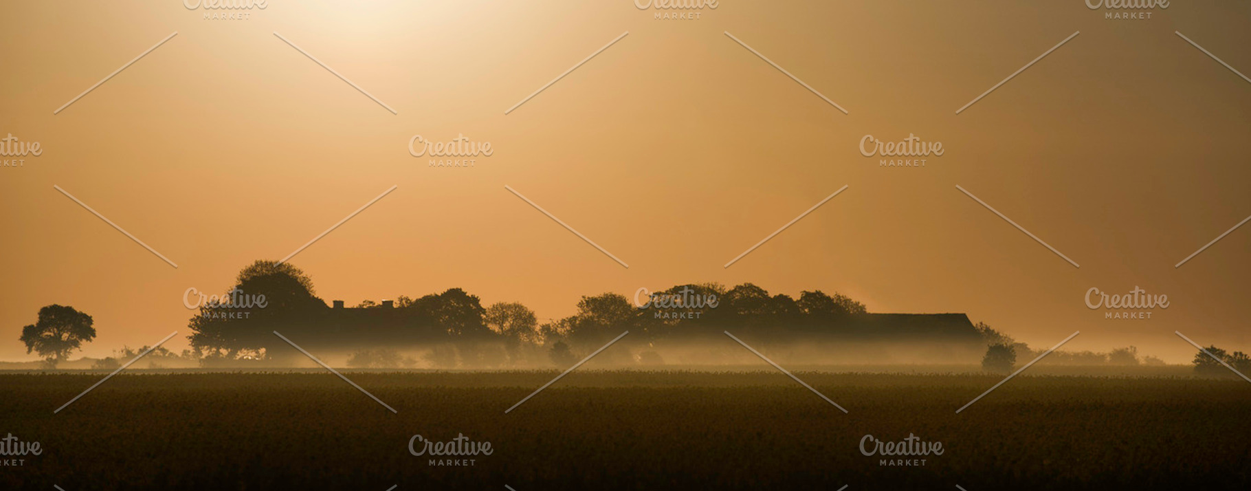 Morning Sun Featuring Morning Sun And Morning Sun